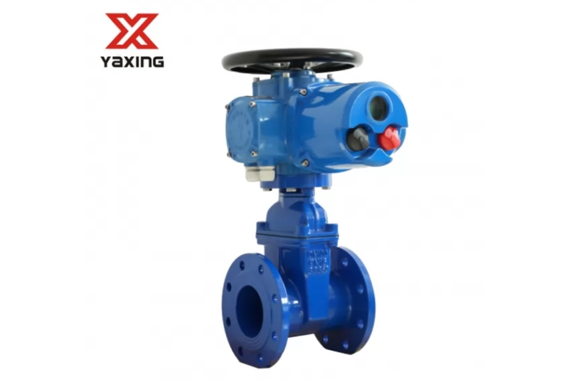 Gate Valve vs. Butterfly Valve: Which One is Right for Your Application?cid=5