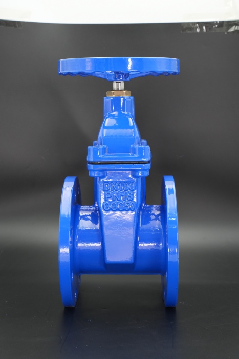 DIN gate valve.jpg