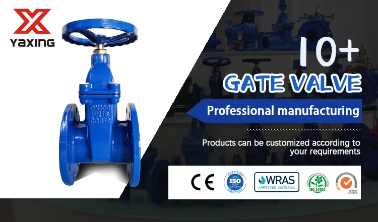 knife gate valve