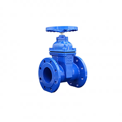 Resilient Seated Gate Valve SABS 664/665