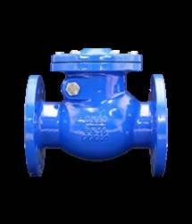 Check Valve