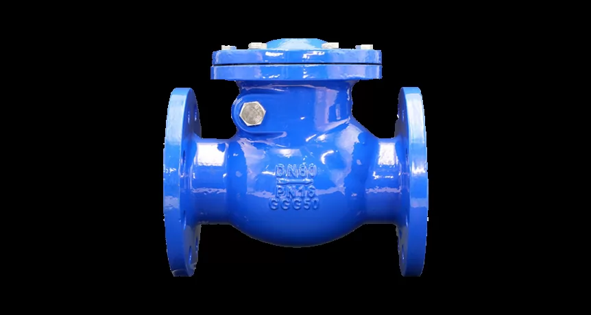 Check Valve