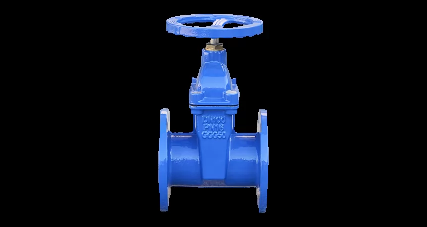 Gate Valve