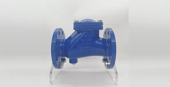 Ball Check Valve Overview